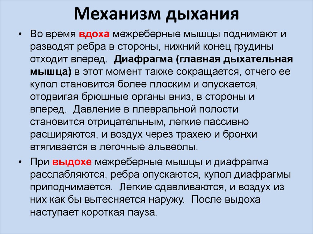 Механизм дыхания. Механизм дыхания человека кратко. Механизм легочного дыхания кратко. Опишите механизм осуществления дыхания.