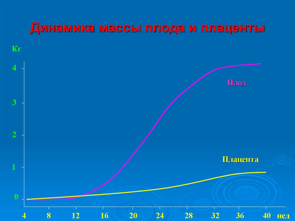 Динамик масс. Динамика масса. Динамика массы ребенка. Динамический вес. Динамическая масса.