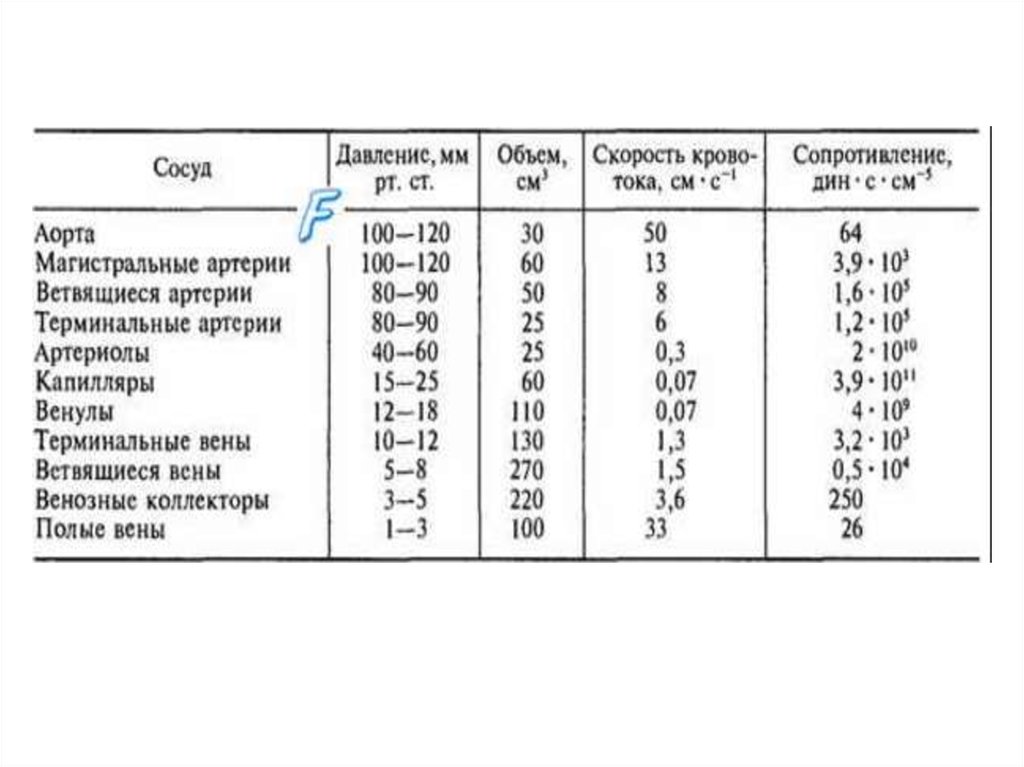 Определение скорости кровотока в сосудах ногтевого ложа. Таблица скорости течения крови по сосудами. Показатели скорости движения крови. Давление и скорость крови в сосудах таблица. Скорость движения крови в артериях.