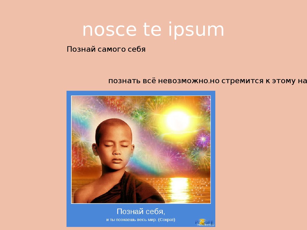 Ipsum перевод на русский