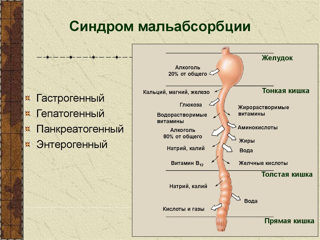 Мальабсорбция что. Синдром мальабсорбции. Синдроммальабсорбации. Мальабсорбция нарушение всасывания. Мальабсорбция клинические проявления.