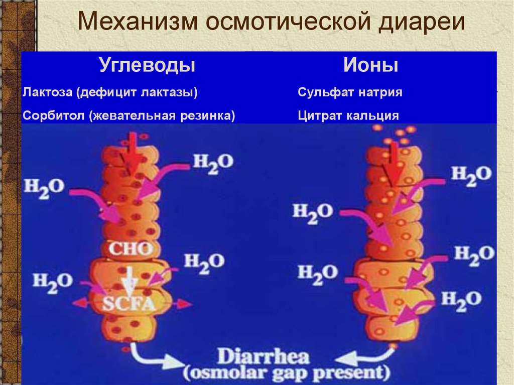 Механизмы диареи. Осмотическая диарея механизм. Осмотическая диарея механизм развития. Осмотический Тип диареи патогенез. Механизм появления осмолярной диареи.