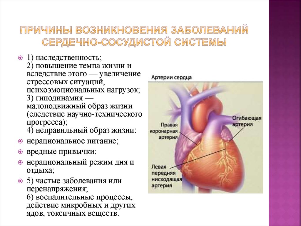 Сердечные заболевания сообщение. Заболевания сердца описание кратко. Перечисли основные причины заболеваний сердечно-сосудистой системы.. Заболевания сердца сосудистой системы причины. Признаки характерные для поражения сердечно-сосудистой системы.