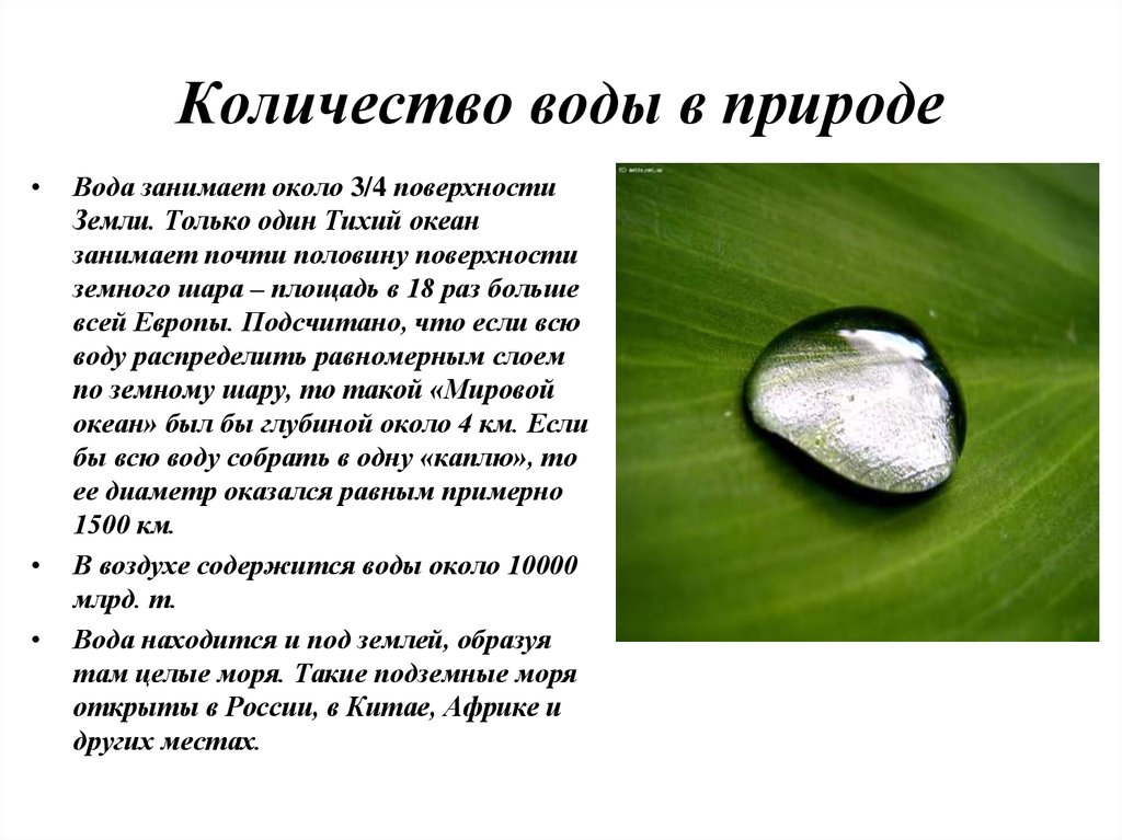 Вода занимает поверхности. Вода занимает половину поверхности земли. Около ¾ поверхности земли заняты водой.. Количество воды в год в природе. Объем воды в природе, в человеке.