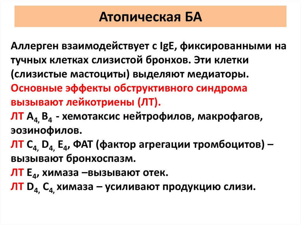 Ба это. Атопическая ба. Осложнения атопической ба. Атопическая ба симптомы. Атопическая ба характеристика.