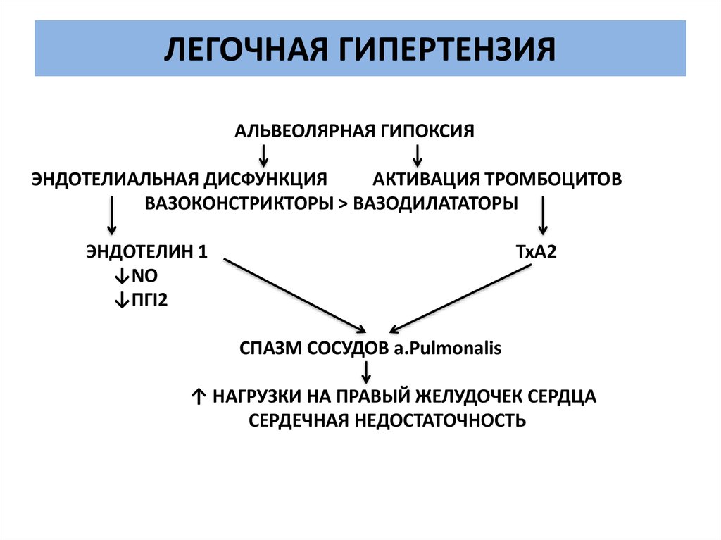 Легочная гипертензия картинки