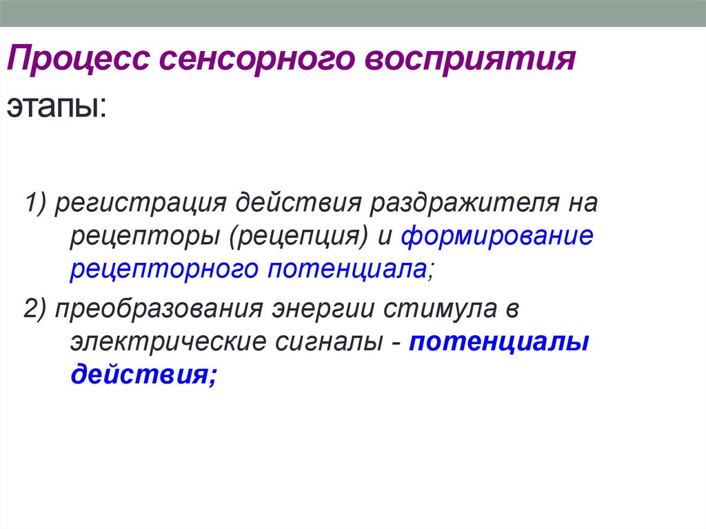 Сенсорная перцептивная интеллектуальная. Этапы сенсорного преобразования. Этапы сенсорного восприятия. Сенсорный и перцептивный этапы. Восприятие сенсорных стимулов.