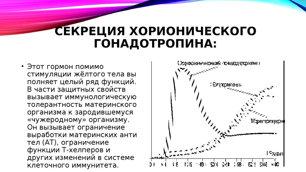 Стимулированная секреция. Хорионический гонадотропный гормон синтезируется. Основные эффекты гонадотропина хорионического. Механизм действия хорионического гонадотропина. Основной эффект гонадотропина хорионического.