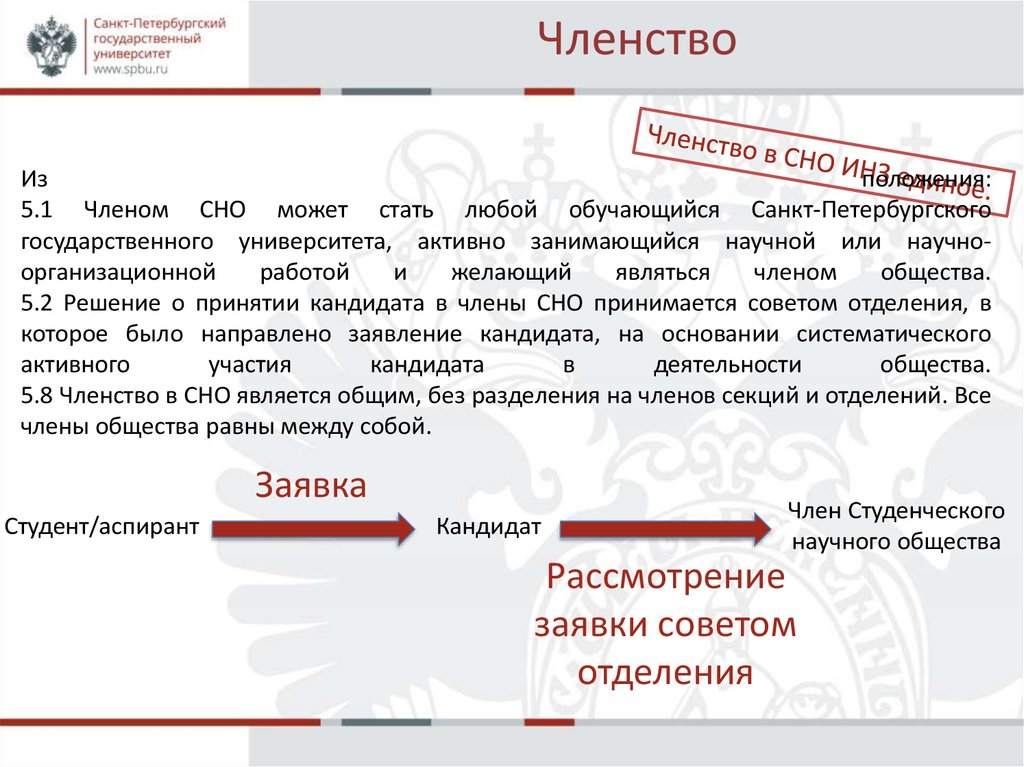 Спбгу макет презентации