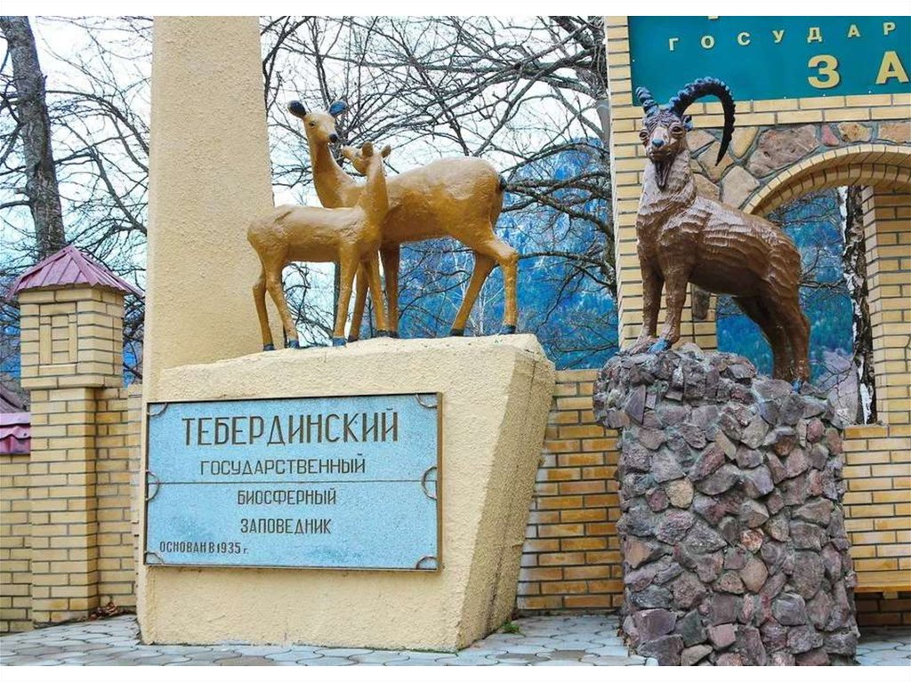 Тебердинский заповедник презентация