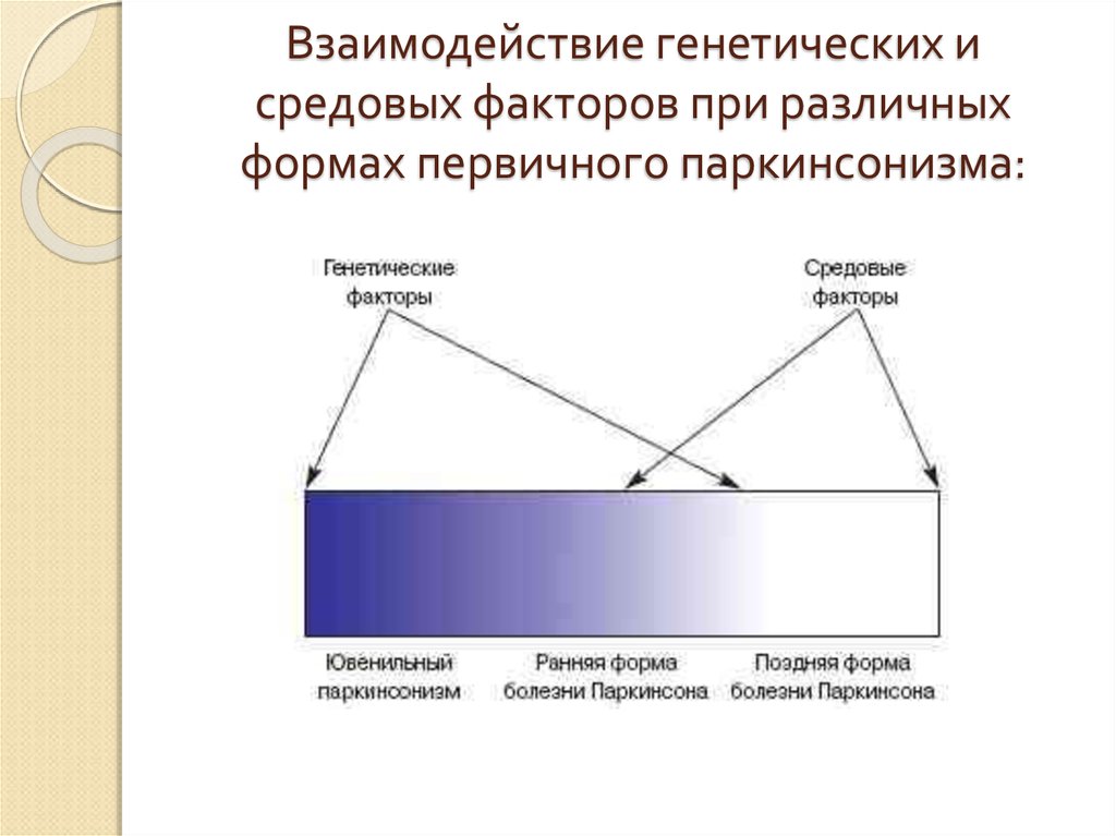 Взаимодействие генетических и средовых факторов при различных формах первичного паркинсонизма: