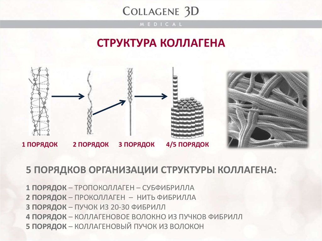 Тип строения d. Первичная структура коллагена. Строение коллагенового волокна биохимия. Коллаген 2 типа строение. Строение фибриллы коллагена.