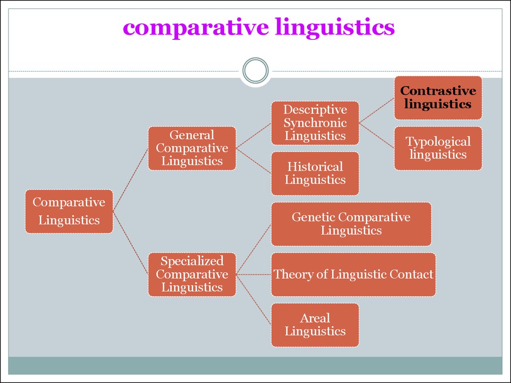 Up the subject. Comparative Analysis of Linguistics. Comparative method Linguistics. Comparative and historical Linguistics. Лексикология английского языка схема.