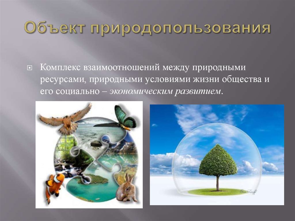 Природное природопользование. Объекты природопользования. Объекты природных ресурсов. Что является объектом природопользования. Природопользование природными объектами.