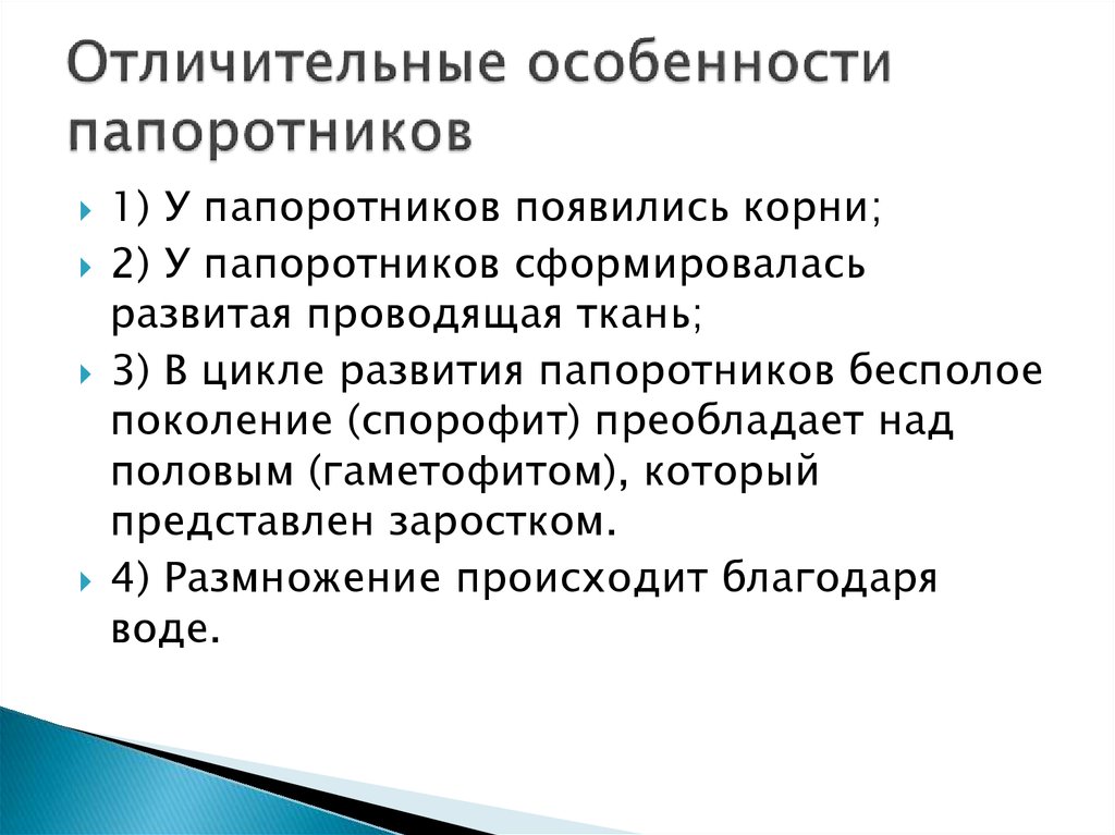 Особенности папоротников. .Каковы отличительные признаки отдела Папоротниковидные?. Папоротникообразные характерные признаки. Признаки характеризующие папоротникообразных. Признаки характерные для папоротников.