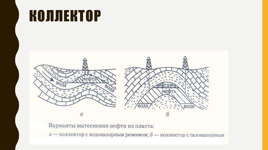 Коллектор