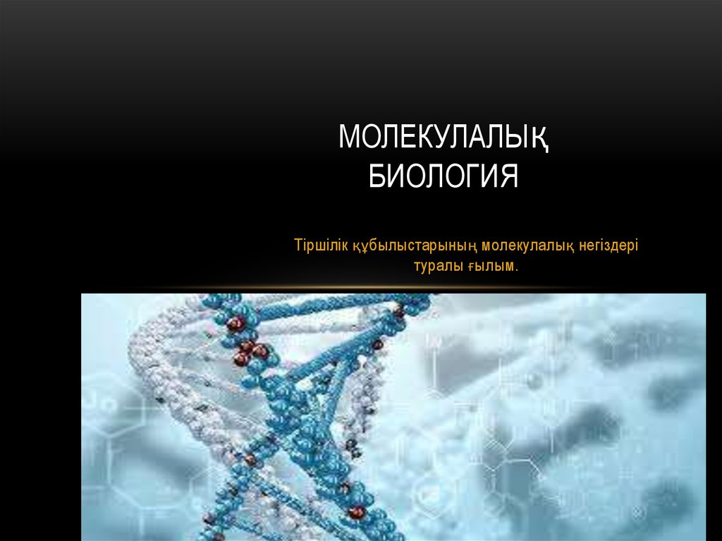 Перинатология негіздері презентация