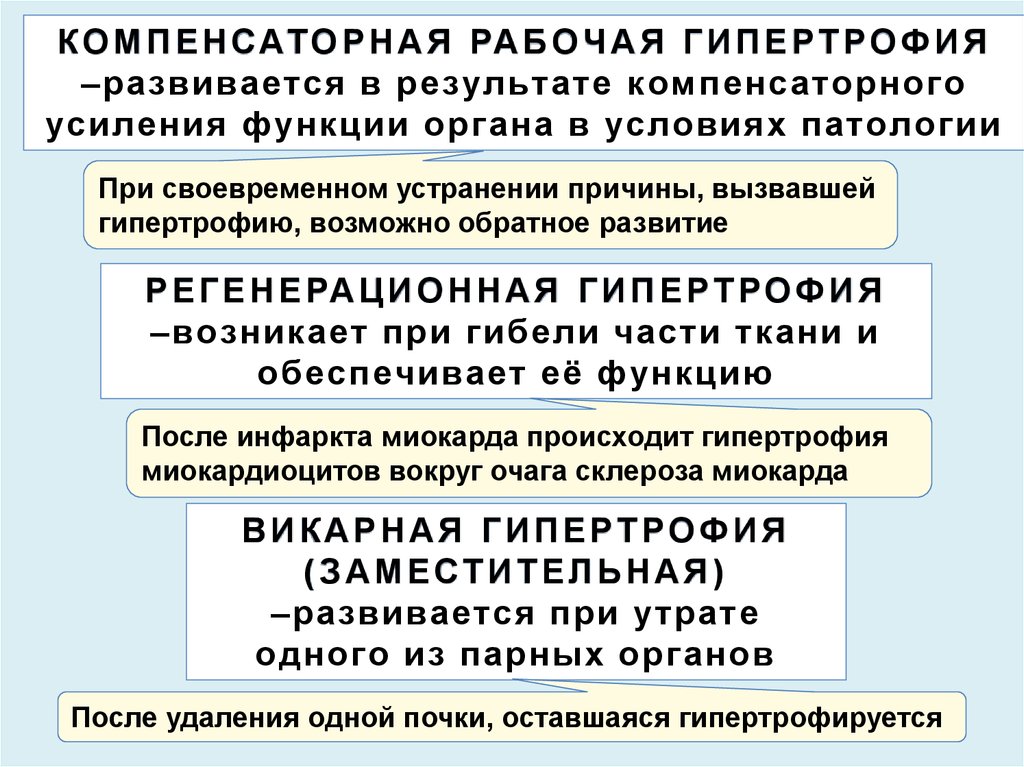 Компенсаторно приспособительные реакции схема