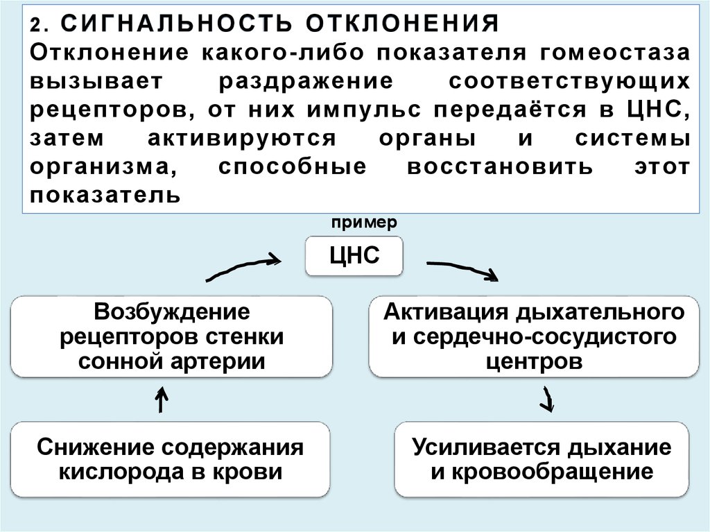 Схема защитно приспособительных механизмов организма при умирании