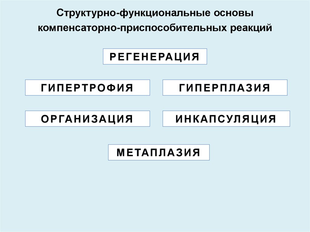 Схему защитно приспособительных механизмов организма при умирании