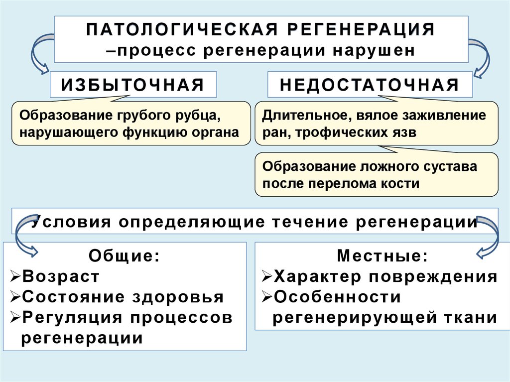 Определите вид компенсаторно приспособительных реакций по картинкам