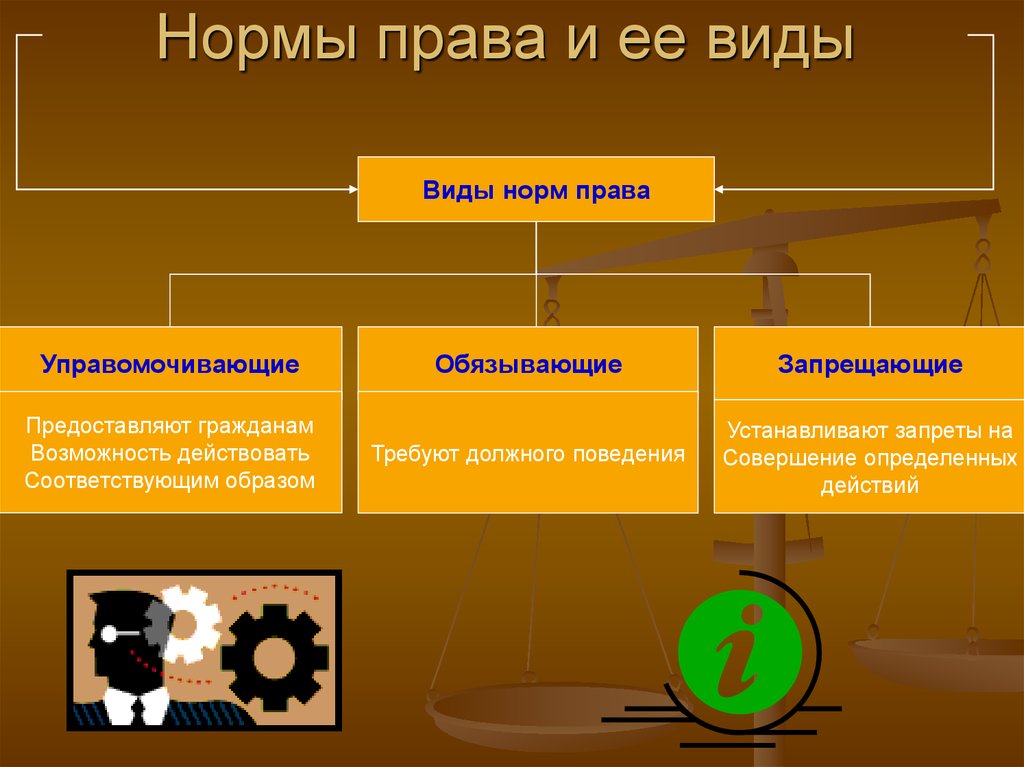 Правовые нормы законодательства. Нормы права. Нормы права делятся на. Виды норм права. Правовые нормы примеры.