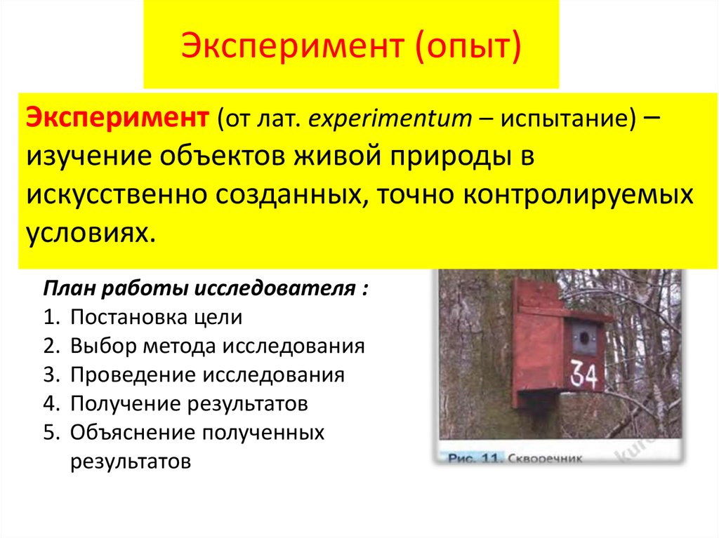 Методы изучения живой природы эксперимент. Метод изучения природных объектов эксперимент это. Методы изучения природы эксперимент предметы. Цель метода изучения природы эксперимент.