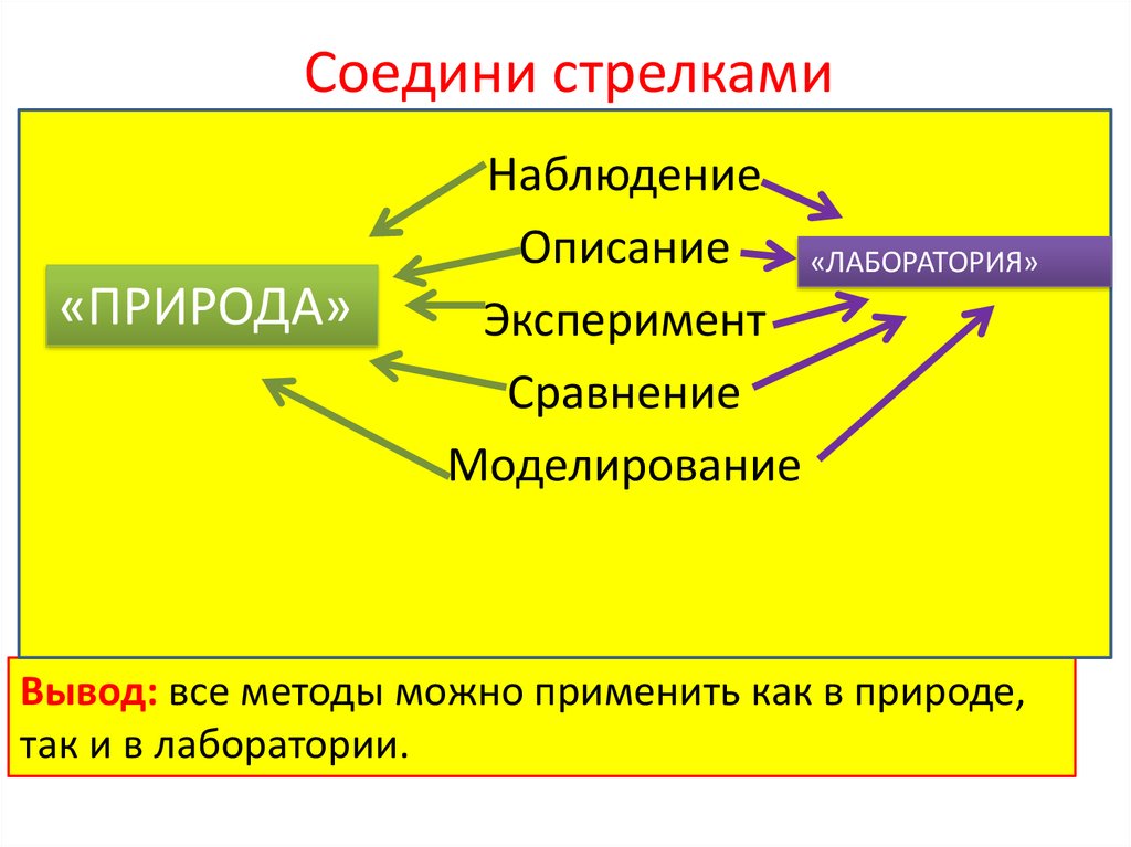 План изучения природы. Методы изучения природы применяемые в лаборатории. Методы изучения природы сравнение. Основные методы исследования живой природы. Описание сравнение моделирование наблюдение эксперимент.