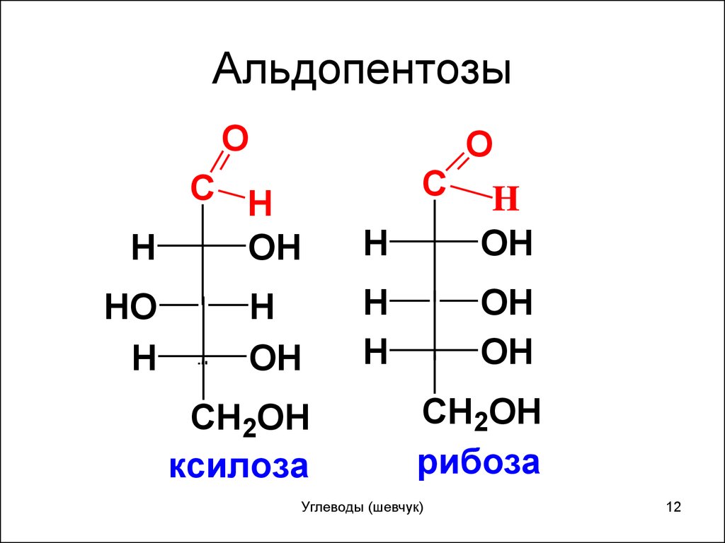 Пентоза рибоза