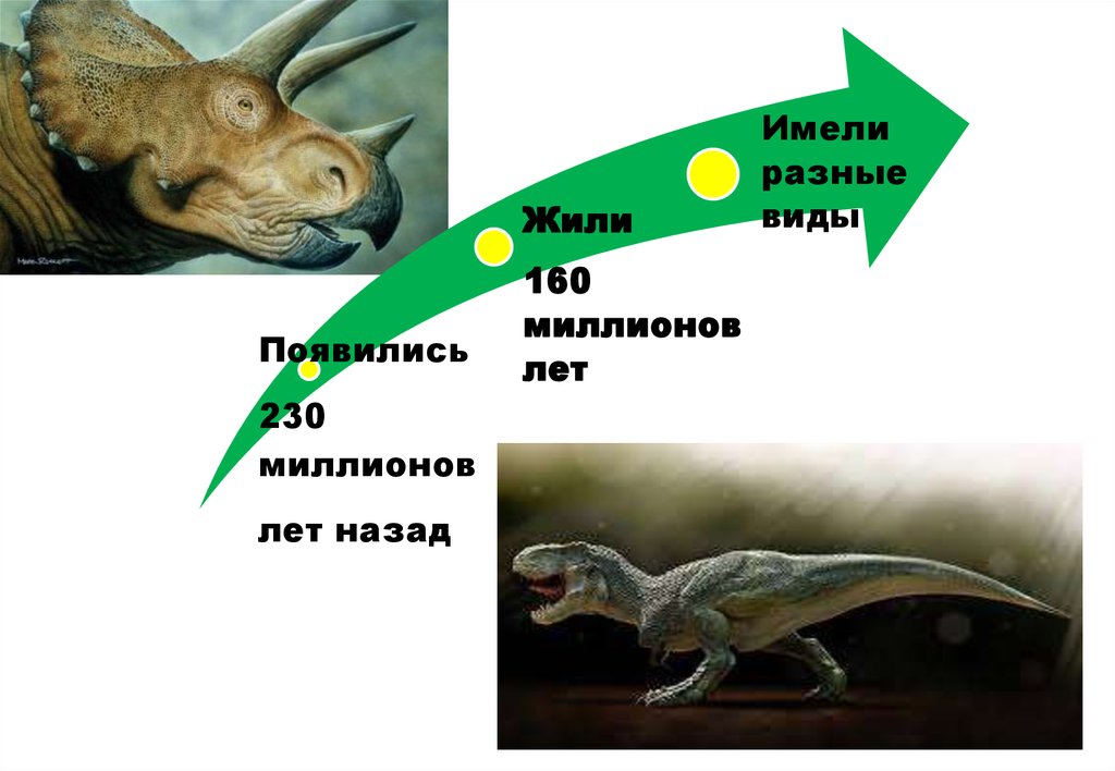 Отметь на схеме промежуток времени в течение которого земле обитали динозавры