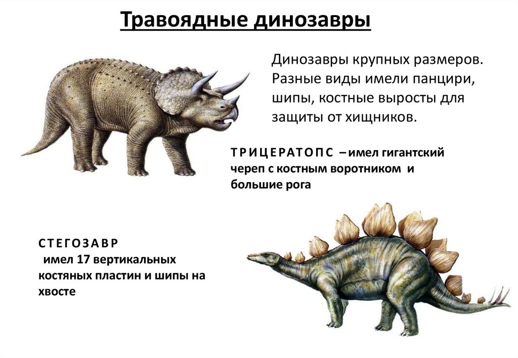 Виды Хищных Динозавров Фото С Названиями
