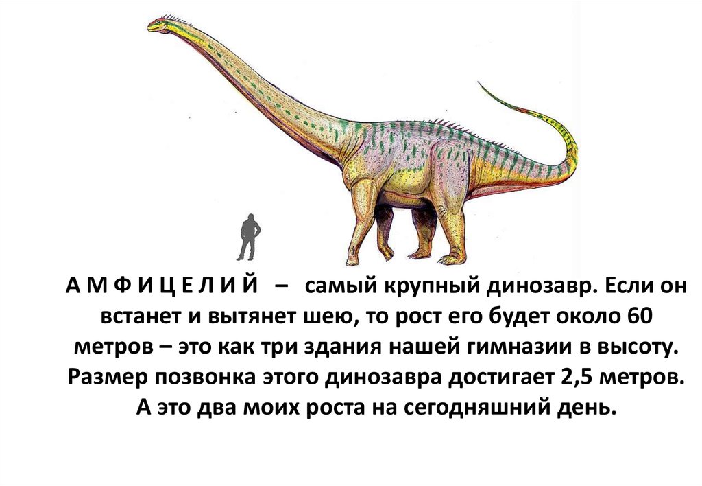 Динозавры презентация 2 класс