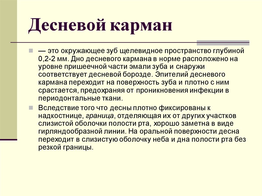 В норме находится в. Кармана десневой карман. Чем образован десневой карман.