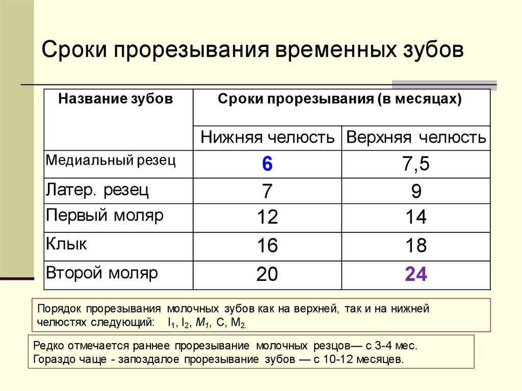 Сроки смены. Сроки прорезывания временных и постоянных зубов. Время и сроки прорезывания зубов. Временные зубы прорезывание срок. Сроки прорезывания временных зубов у детей.