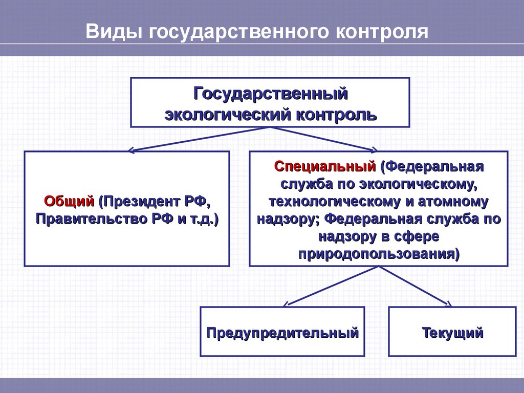 Государственная экология. Виды экологического контроля. Предупредительный экологический контроль и текущий. Экологический контроль реферат. Общественный экологический контроль реферат.