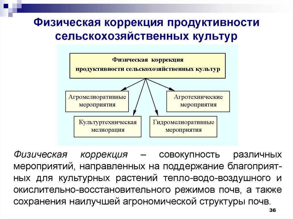 Физическая коррекция. Коррекция физика. Продуктивность в сельском хозяйстве. Как повысить производительность сельхоз установки.