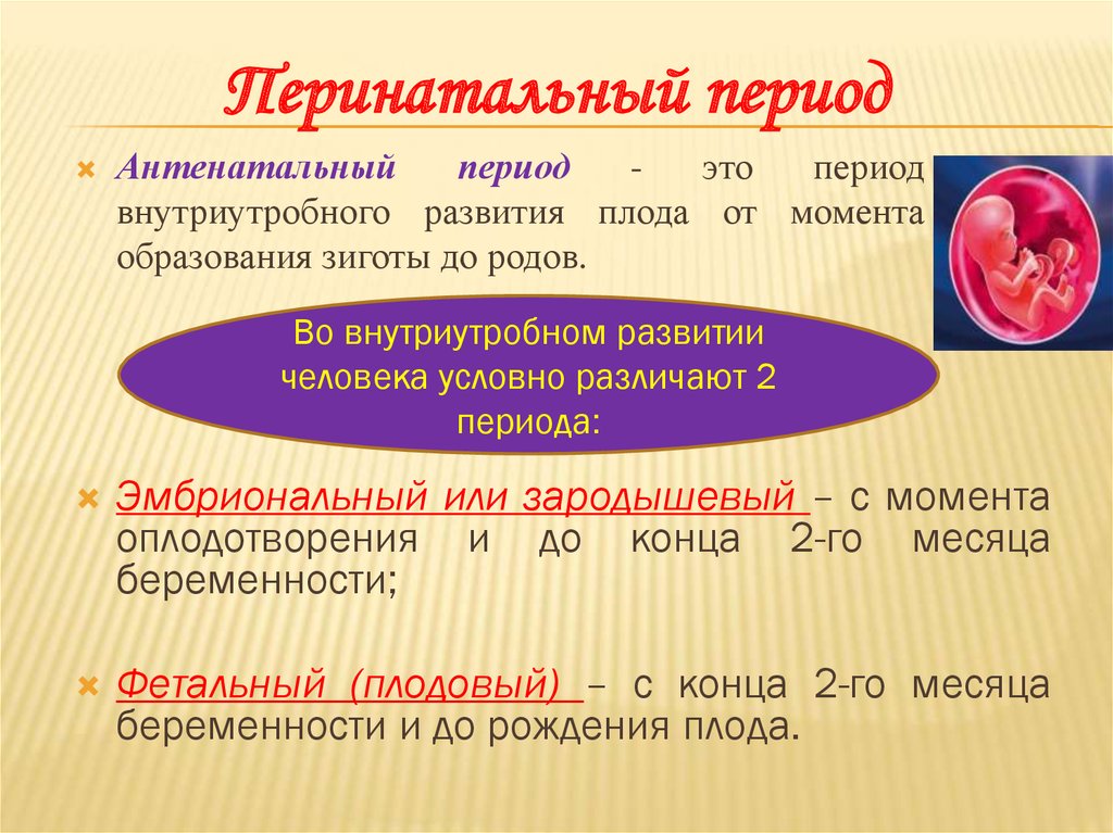 С момента образования. Периоды внутриутробного развития плода таблица. Критические периоды внутриутробного развития. Зародышевый и плодный периоды внутриутробной жизни. Антенатальный и перинатальный период это.