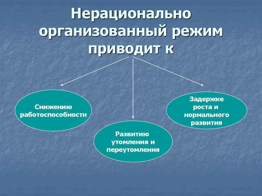 Работоспособность режим дня презентация