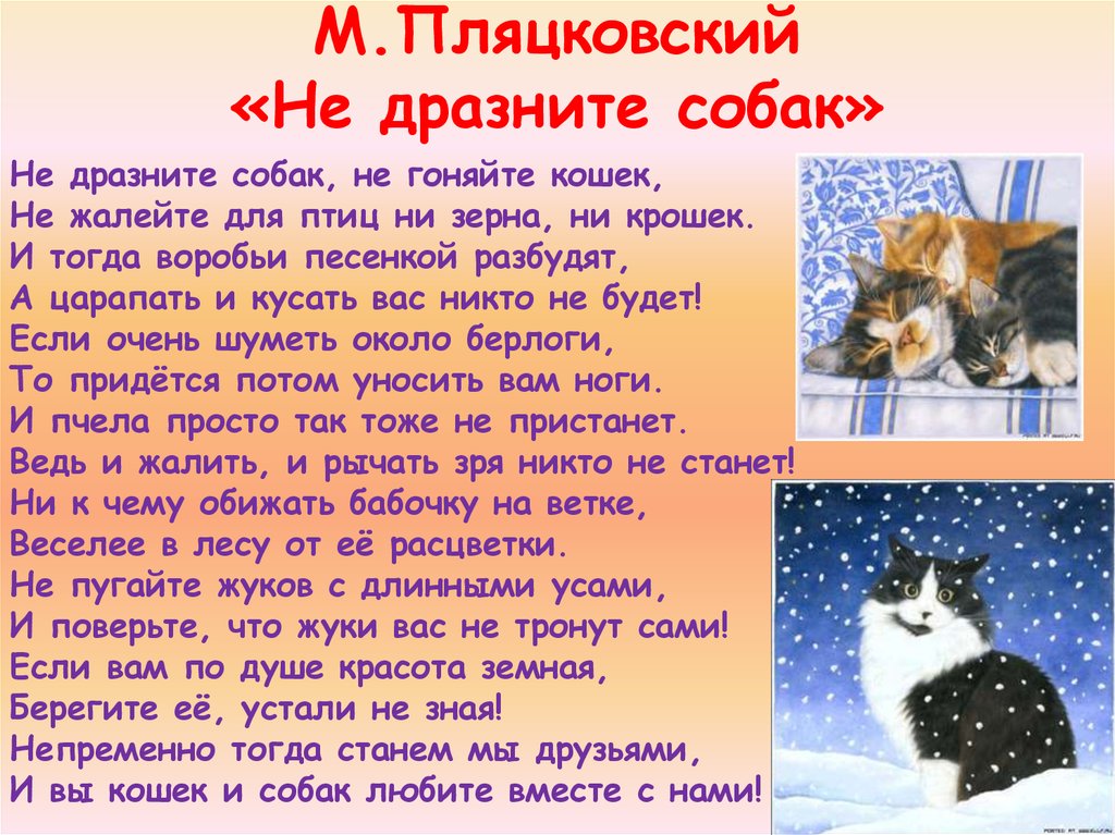 М.Пляцковский «Не дразните собак»