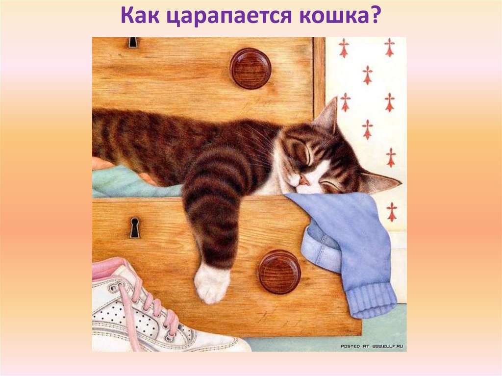 Развлечение день кошек. Кошка иллюстрация. Всемирный день кошек презентация для детей.