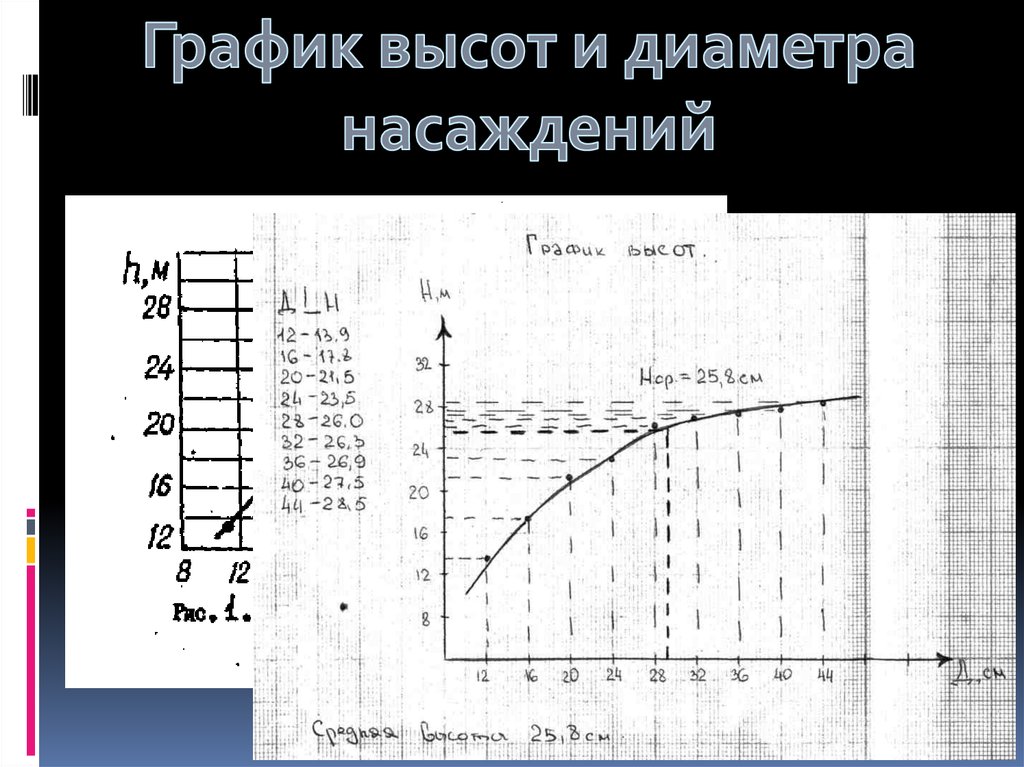 График высоты от времени. График высот деревьев. Средний диаметр насаждения. График высот древостоя. Определение среднего диаметра древостоя приборы.