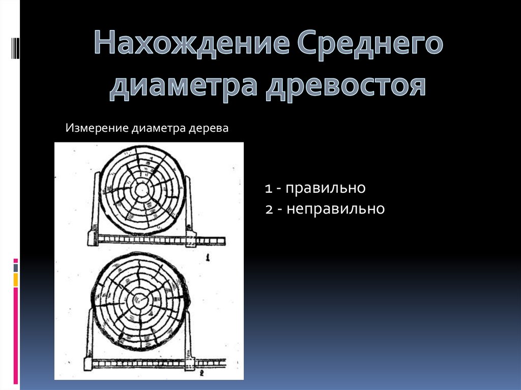 Диаметр дерева это количество ребер