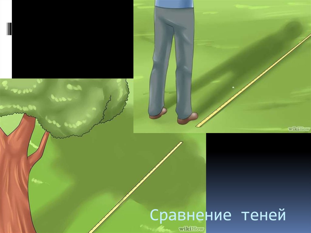 Сравнение теней