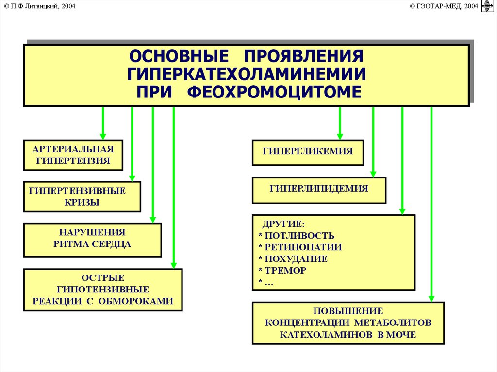 Патогенез феохромоцитомы схема