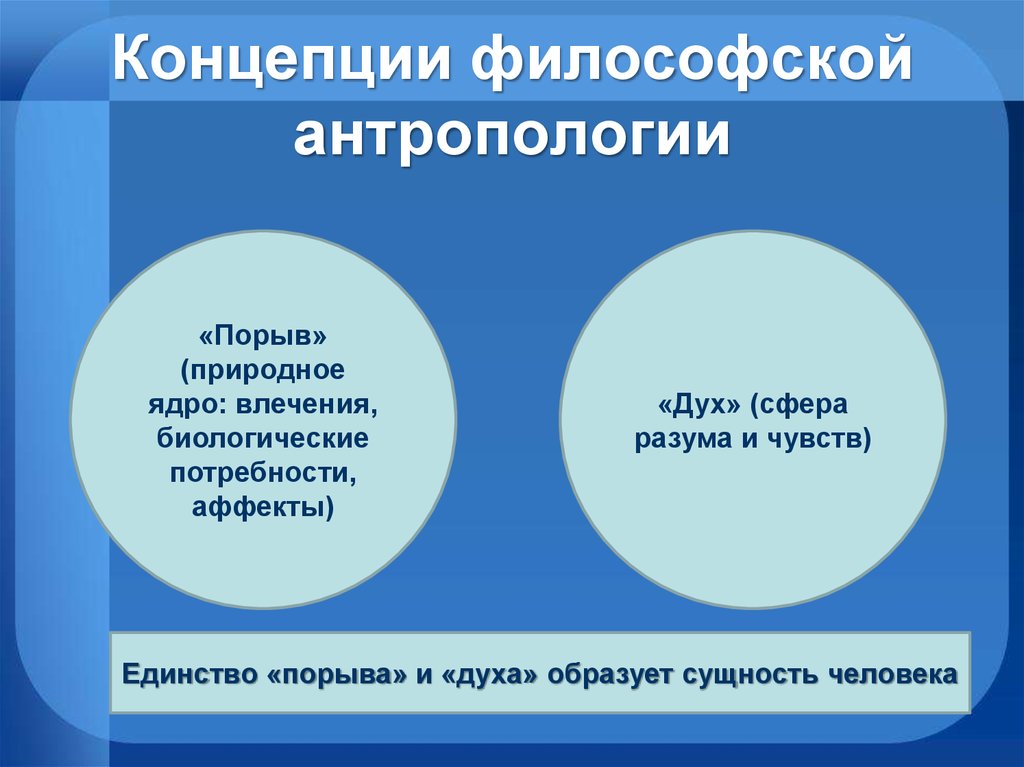 Концепция человечества. Концепция философской антропологии. Философские концепции человека. Концепция человека. Антропологические концепции в философии.