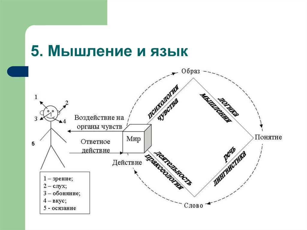 Презентация мышление и язык