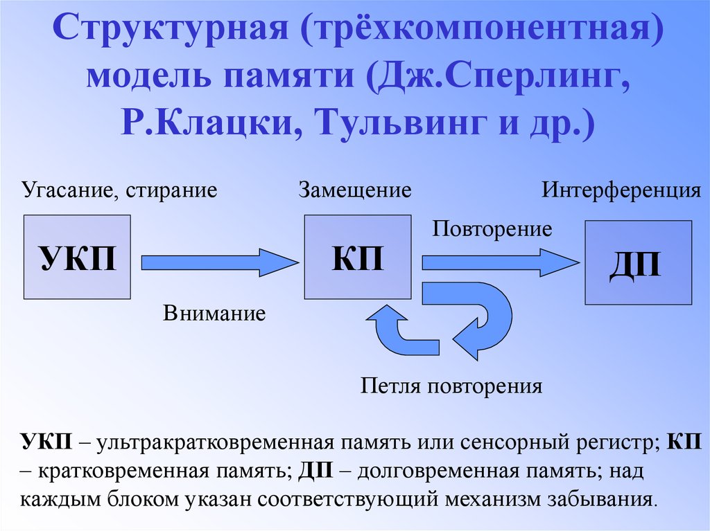 Схема памяти по р аткинсону и р шифрину