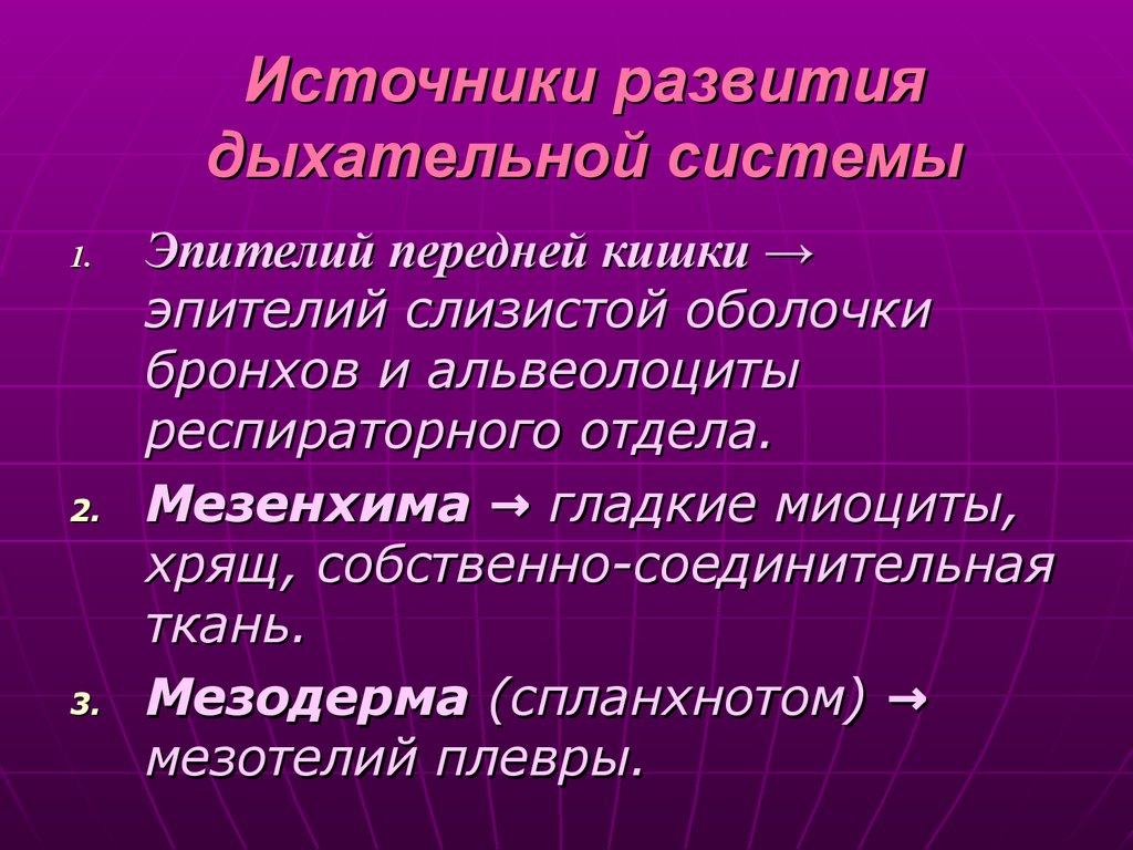 Презентация гистология дыхательной системы