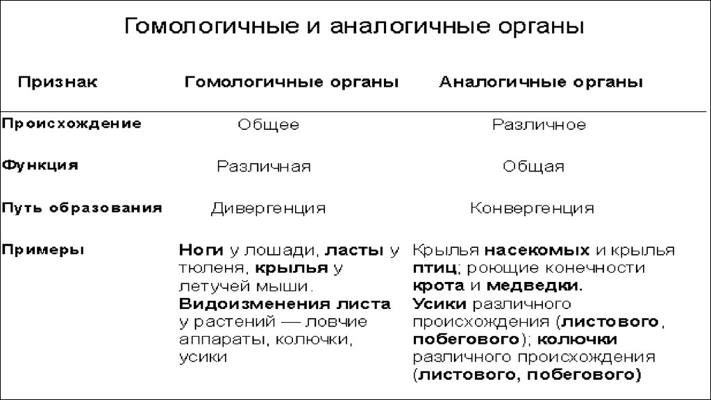 Аналогичные органы примеры. Аналогичные и гомологичные органы таблица. Гомологичные органы и аналогичные органы. Гомологичные и аналогичные органы растений таблица. Аналогичные органы 2) гомологичные органы.