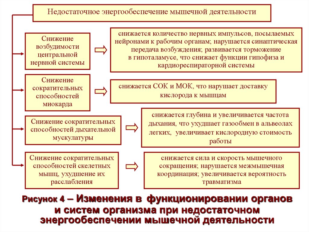 Деятельность сокращение